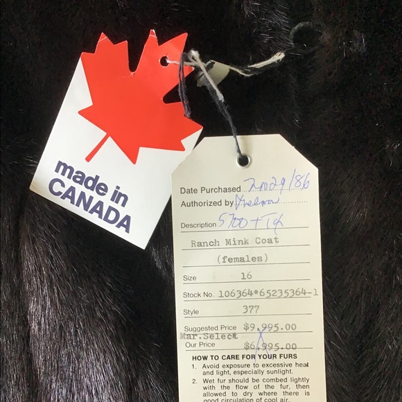 Full length ranch mink coat size 16. - Picture 2 of 7